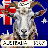 Australia (Goat)