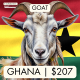 Ghana (Goat)