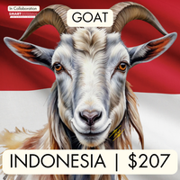 Indonesia (Goat)