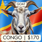 Congo (Goat)