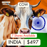 India (Cow) - All 7 parts (7 SHARES AVAILABLE)