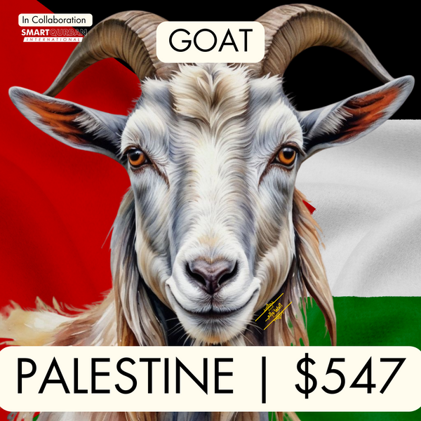 Palestine (Goat)