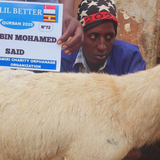 UGANDA (Goat)