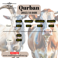Yemen (Goat)