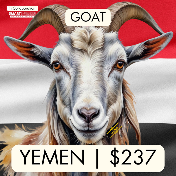 Yemen (Goat)